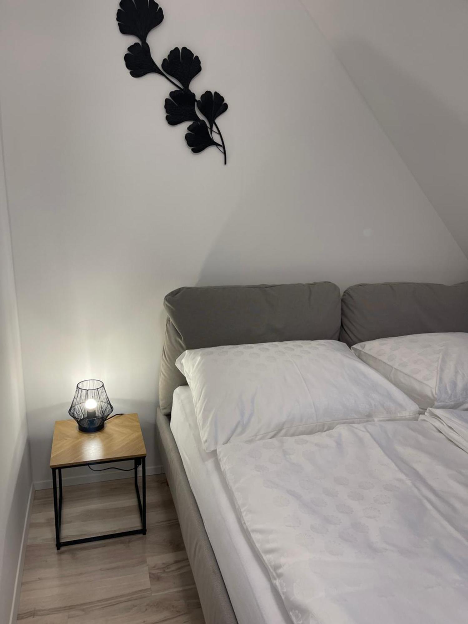 Apartmanovy Dum Jansky Sen 잔스케라즈네 외부 사진